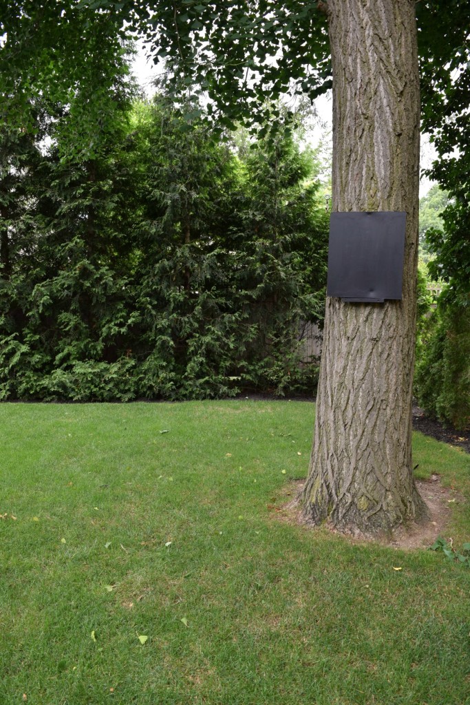 Black Chalk board hung on a tree for a game score board or menu