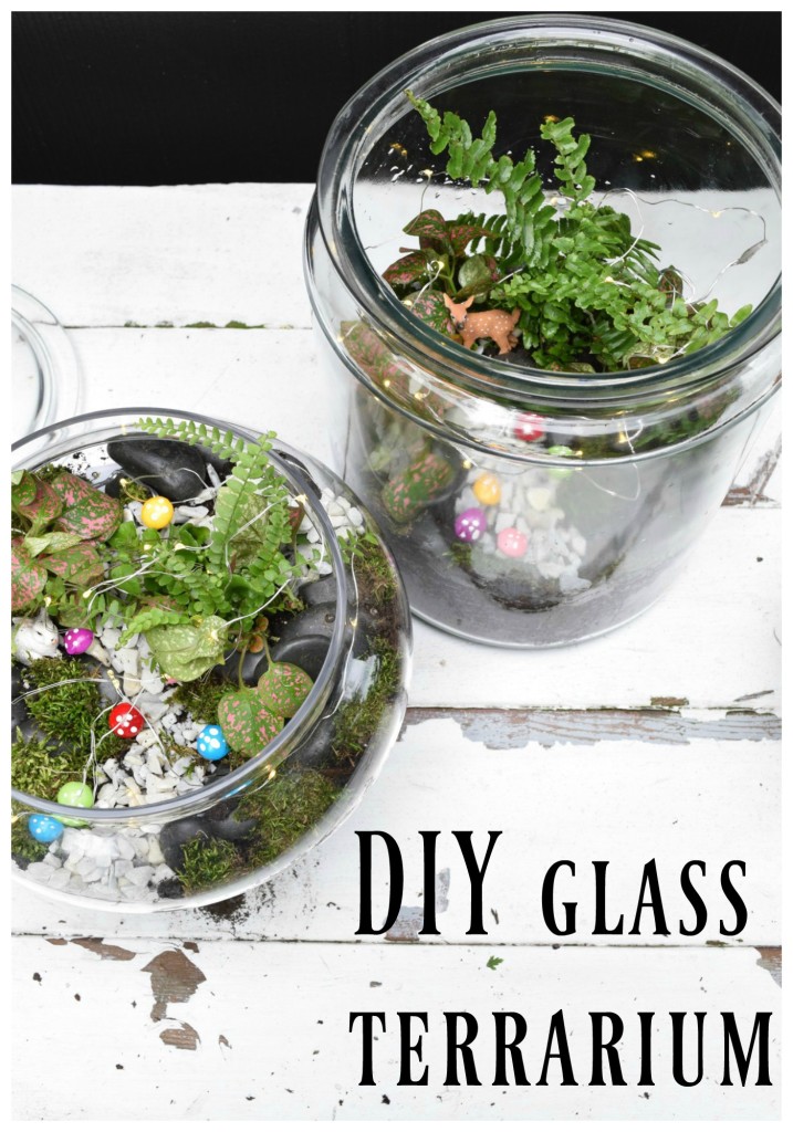 Supplies and how to make a DIY glass terrarium