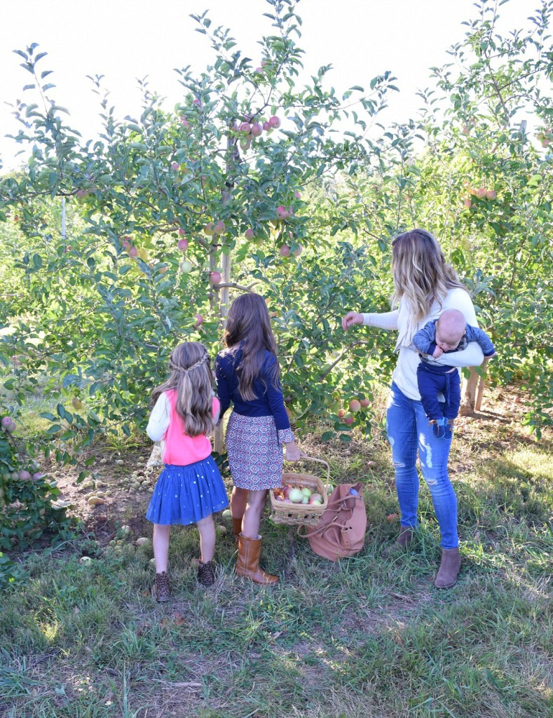 Apple picking Tips for a Fun Fall Activity with Kids