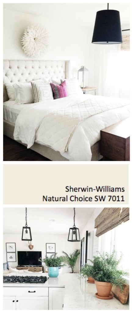 Sherwin Williams Natural Choice- Bright White Paint for all over Home