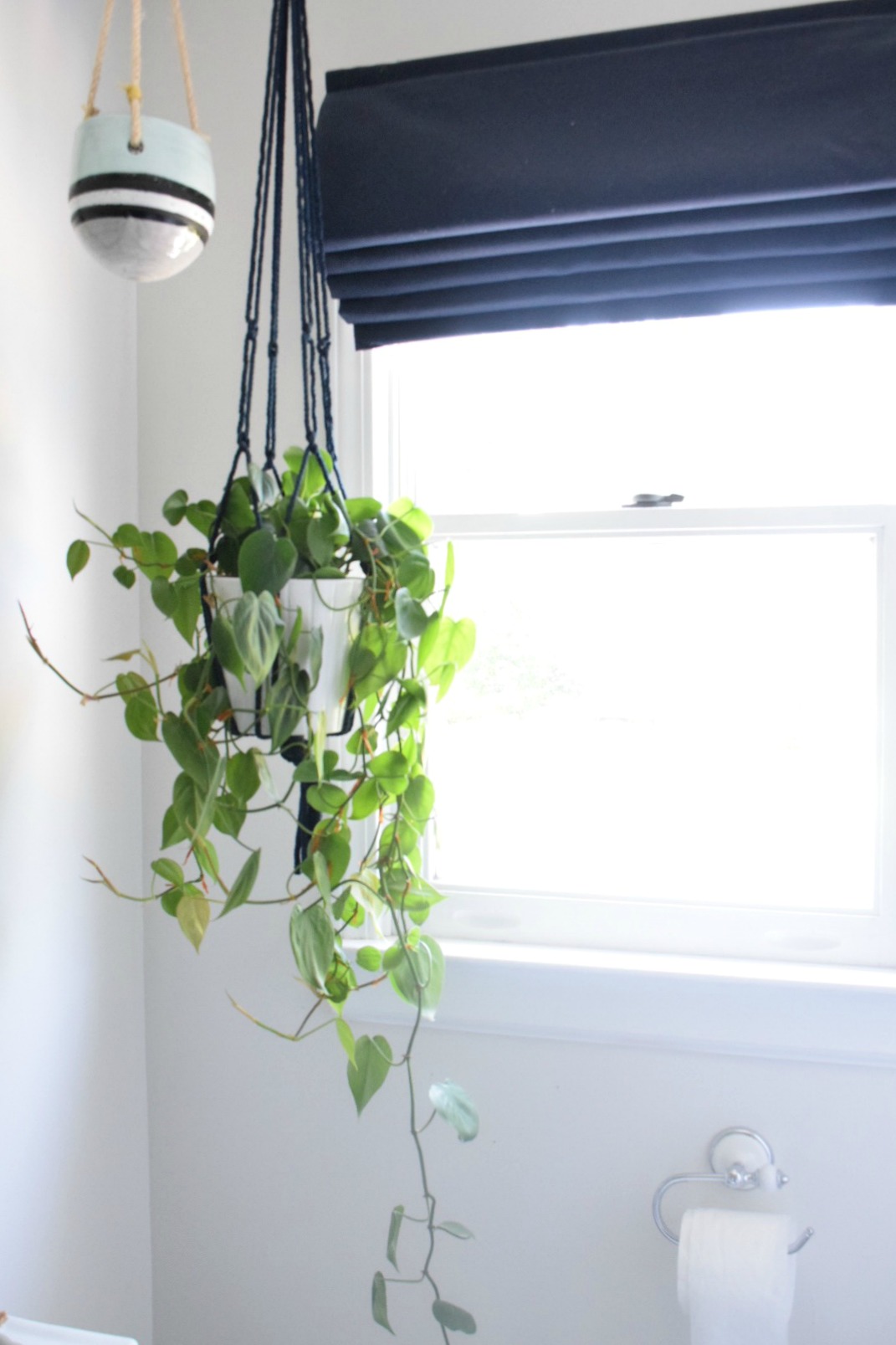 House Plants- My Top House Plants That Can Be Left Alone