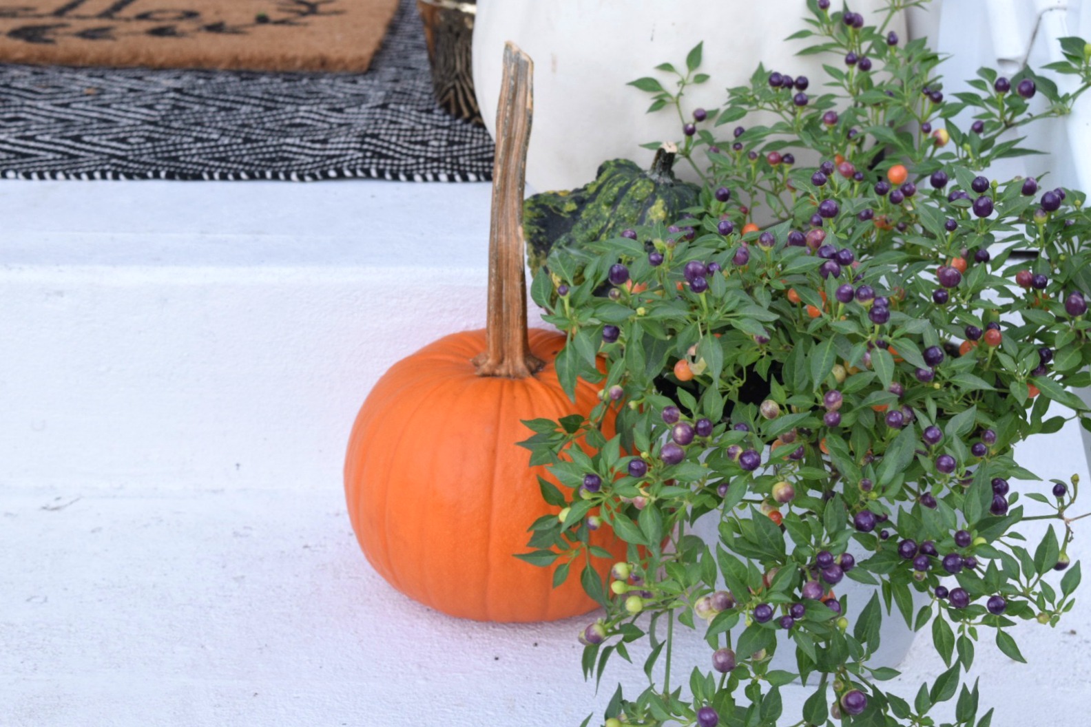 Fall Front Porch Decor- Rich Colors and all the Pumpkins