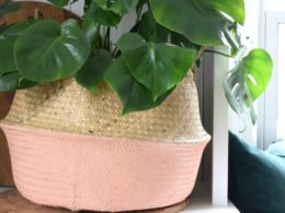 Favorite Home Decor Things- Baskets for Houseplants and Tips!