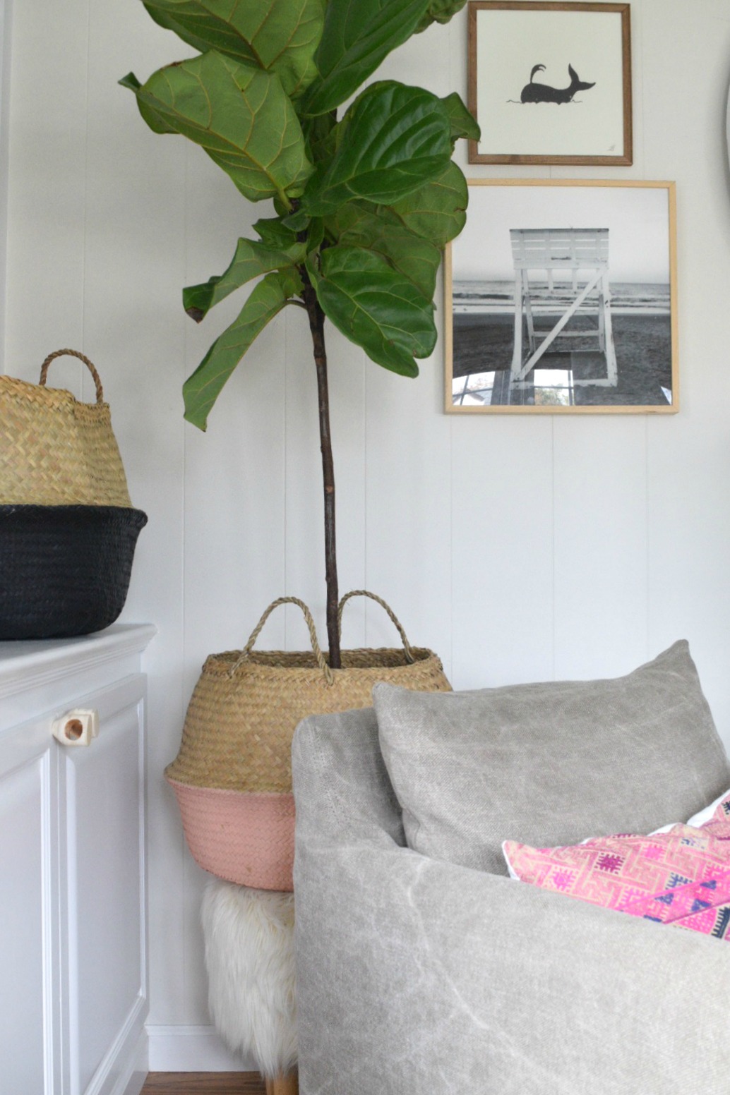 Friday Favorites- Baskets for Houseplants and Tips!