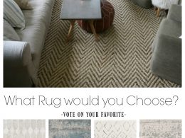 What Rug would you Choose?