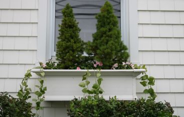 Add some Curb Appeal with Window Boxes