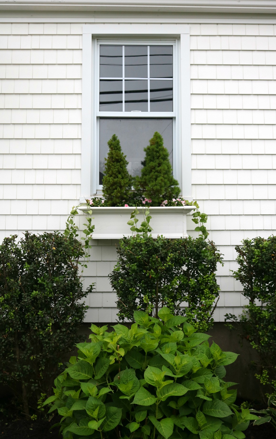Add some Curb Appeal with Window Boxes