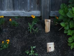 Our new Garden- Tips on Keeping Animals Out