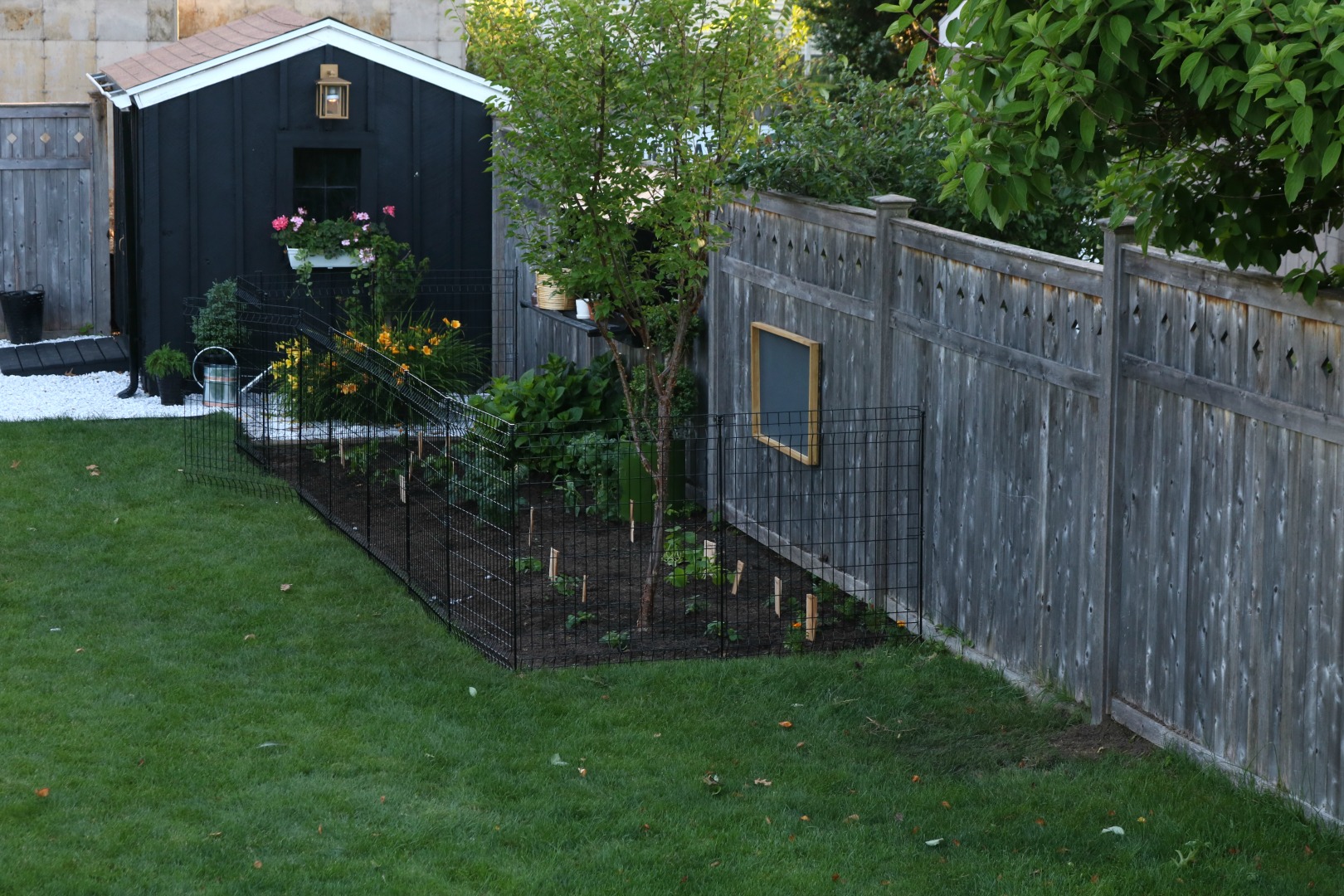 Our new Garden- Tips on Keeping Animals Out