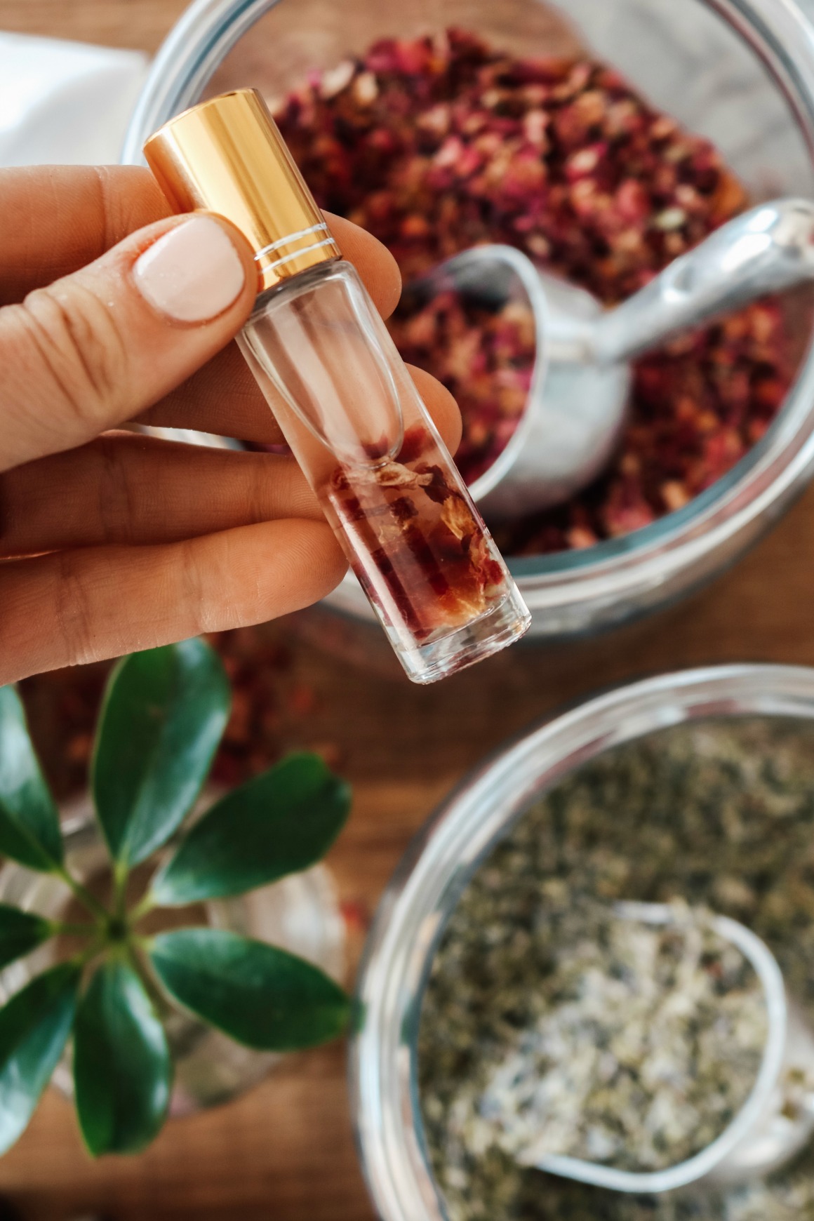 Essential Oils- Must Have Oils