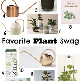 Favorite Plant Swag
