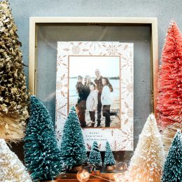 Our Christmas Cards- Family Photos