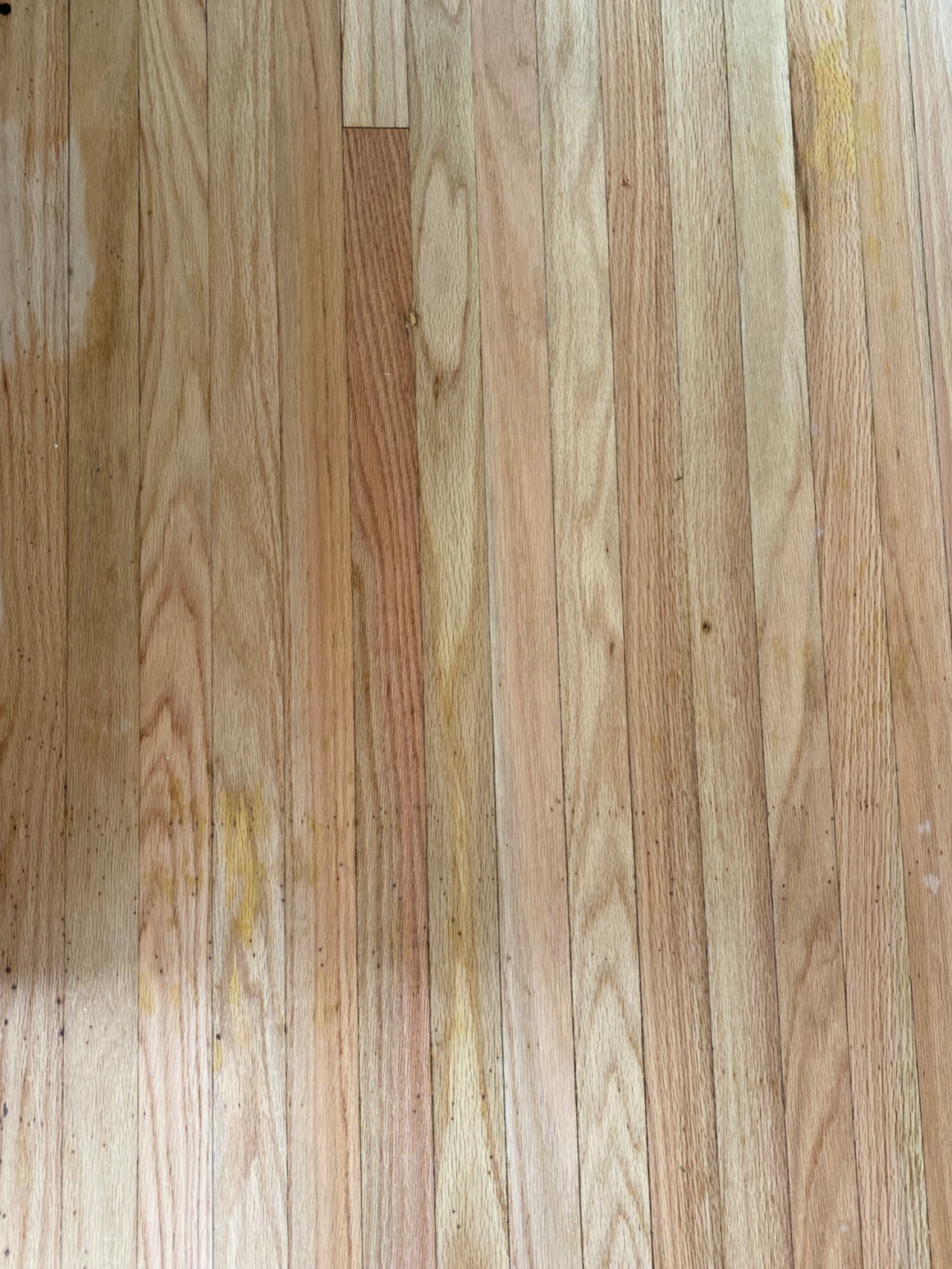 Our Refinished Oak Floors And Details, Hardwood Floor Stain Colors For Oak