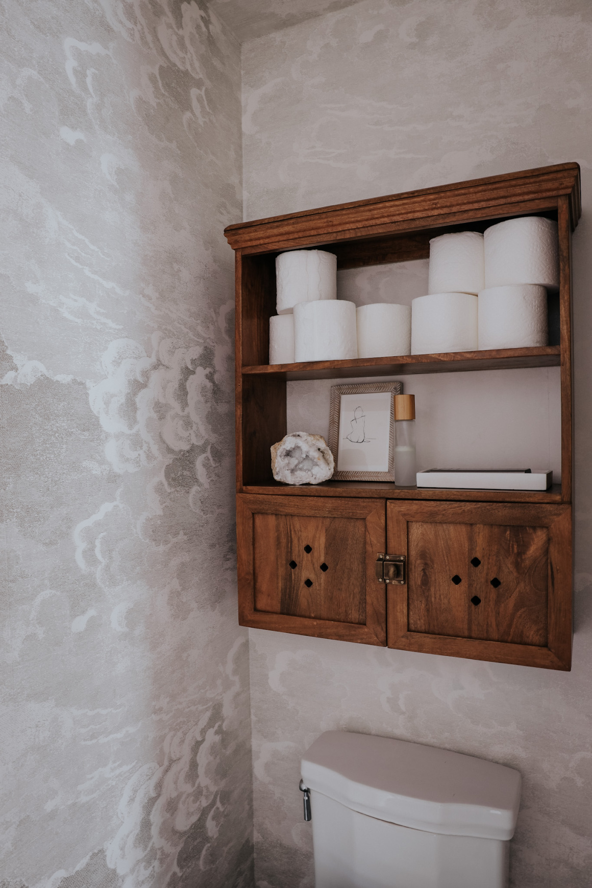 Storage in Bathroom- over the Latrine - Nesting With Grace